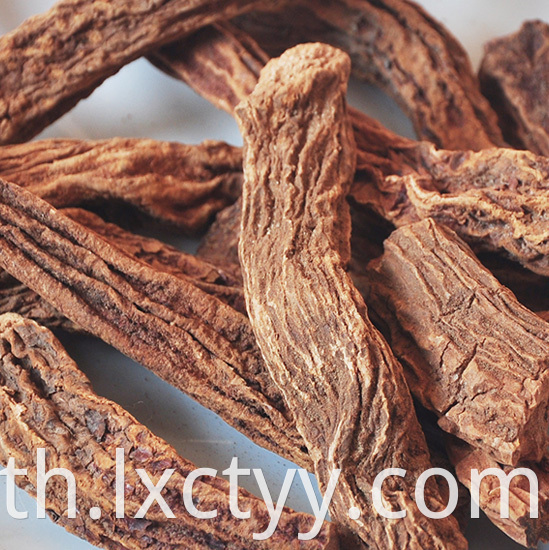 cynomorium songaricum Grain tea